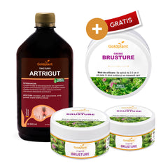 Pachet Articulații&Reumatism: Intern-Extern + 1 Cremă cu Brusture GRATIS