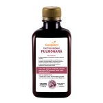 Bronho Pulmonara