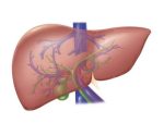 Pachet afecțiuni Hepato-biliare - imagine 2